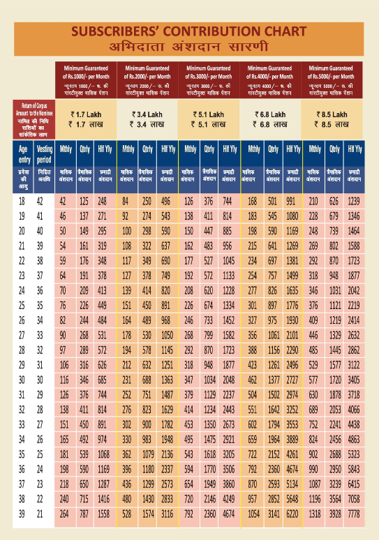 Atal Pension Yojana Chart